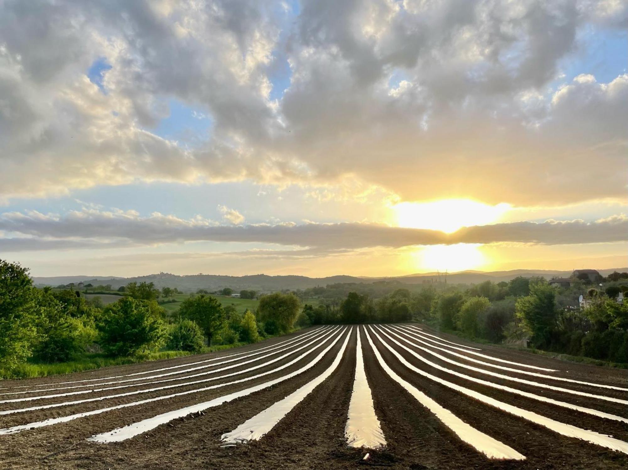 Agriturismo Casaviva Pozzo  Εξωτερικό φωτογραφία